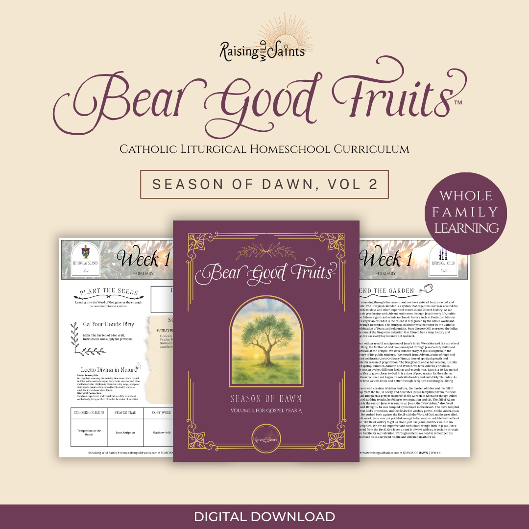Bear Good Fruits - Season of Dawn
