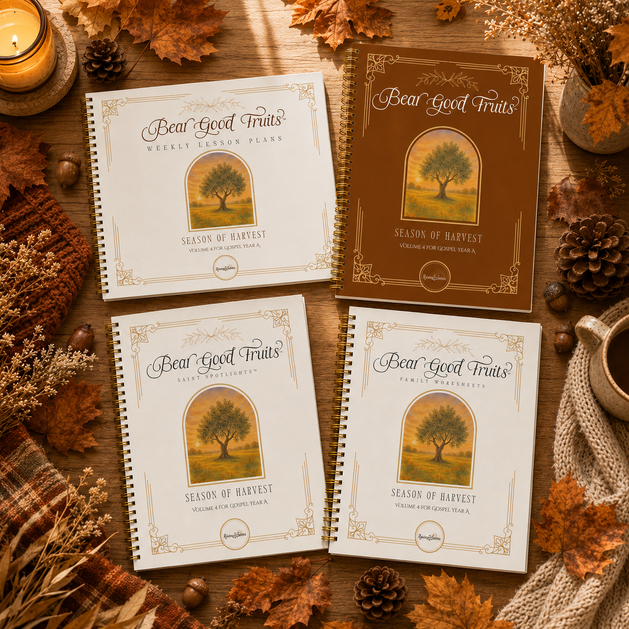 Bear Good Fruits - Season of Harvest