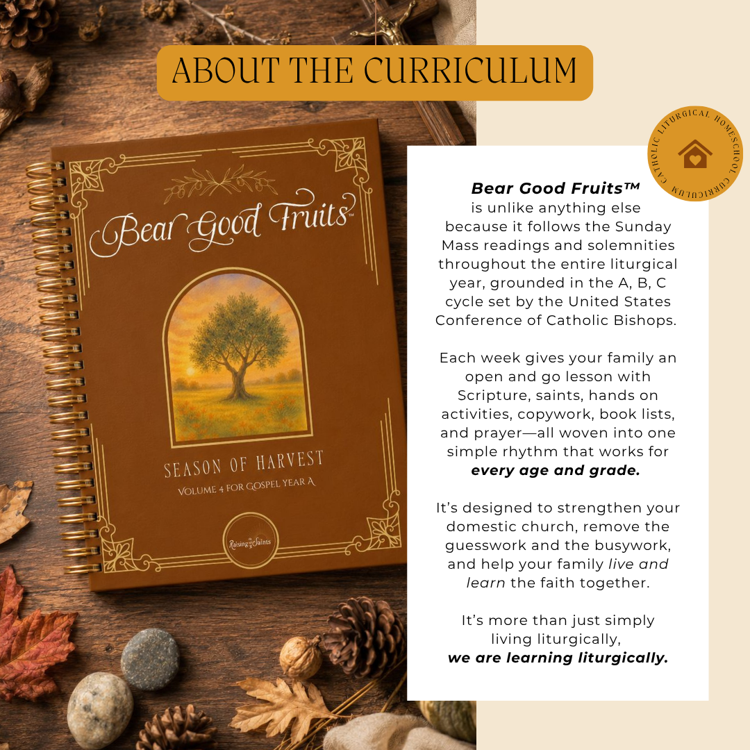 Bear Good Fruits - Season of Harvest